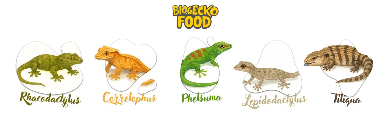BioGecko Food for geckos and lizards